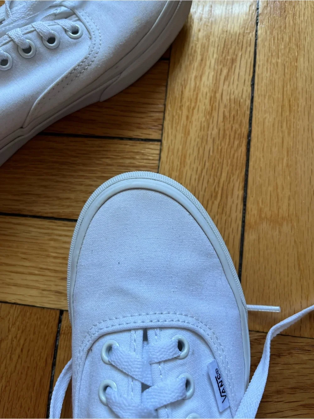 Vans White Authentic Canvas Sneakers